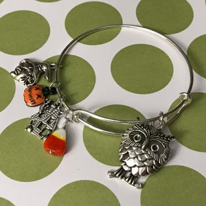 May include: A silver expandable bracelet with Halloween-themed charms. The charms include a witch, a pumpkin, a haunted house, and an owl.