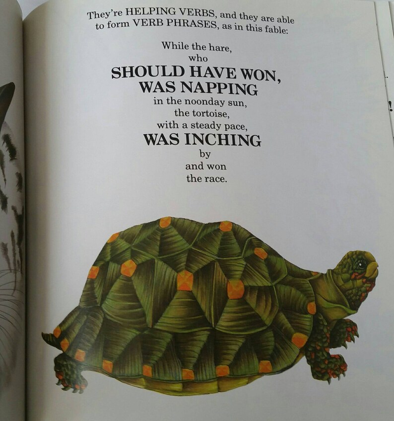 Kites Sail High A Book About Verbs by Ruth Heller 1992 Etsy