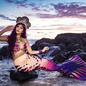 Mermaid Bra Siren Seashell Top Shell Gold Purple Dance Fishnet Star Raw  Wedding Costume Sea Sunset Bridal Masquerade Photo Prop Custom -  Israel