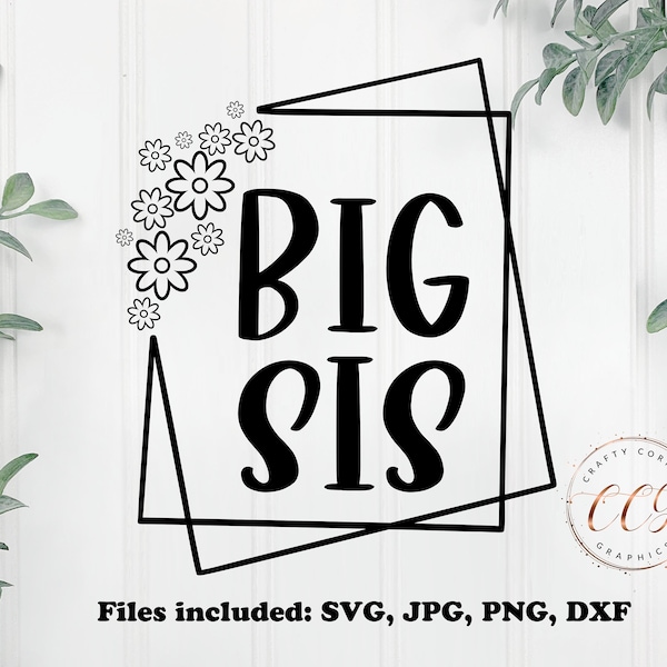Big sis svg-new baby-family shirt-baby shirt-sibling outfit-baby shower gift-iron on-new baby design-hospital pic-decal-scrapbooking-cricut