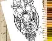 OWL Adult Coloring Page – PRINTABLE Coloring Page Bird  Owl Coloring Page - Owl Download and Color - Owl Adult Coloring Book Page DOWNLOAD