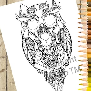 OWL Adult Coloring Page – PRINTABLE Coloring Page Bird  Owl Coloring Page - Owl Download and Color - Owl Adult Coloring Book Page DOWNLOAD