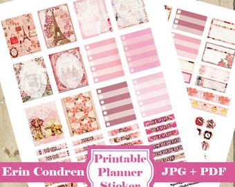 Kit de pegatinas del planificador PARIS – 105 pegatinas del planificador imprimibles – Pegatinas del planificador rosa Pegatinas del planificador rosa funcional mensual semanal DESCARGAR