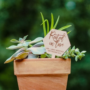 May include: A small terracotta pot with a variety of succulents. A wooden sign with the text "Rooted in Love" and the date "SEPTEMBER 2021" is stuck in the soil.