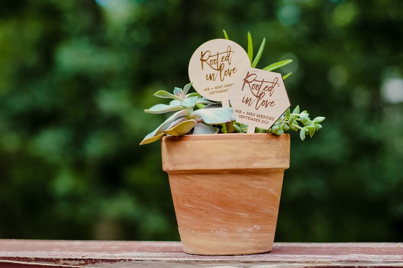 May include: Two wooden signs with the text "Rooted in Love" and the wedding date, placed in a terracotta pot with succulents.