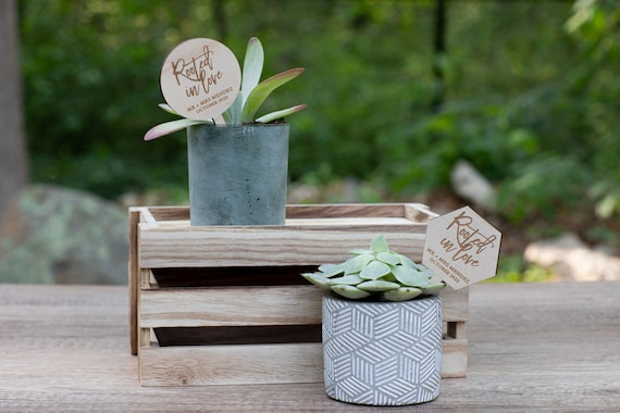 Rooted In Love Plant Tags | Bridal Shower Favors | Wedding Shower Favors | Mini Succulent Favors | Succulent Tags | Plant Favors