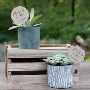 Plant One On Us Plant Tags | Bridal Shower Favors | Wedding Shower Favors | Mini Succulent Favors | Succulent Tags | Plant Favors