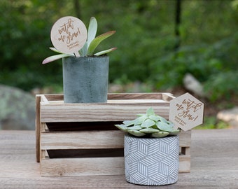 Étiquettes pour plantes «Regarde-moi grandir» | Cadeaux pour baby shower | Cadeaux d'anniversaire | Mini faveurs succulentes | Étiquettes succulentes | faveur des plantes | Saupoudrer pour bébé