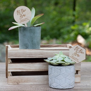 Let Love Grow Plant Tags | Bridal Shower Favors | Wedding Shower Favors | Mini Succulent Favors | Succulent Tags | Plant Favors