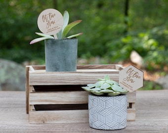 Let Love Grow Plant Tags | Bridal Shower Favors | Wedding Shower Favors | Mini Succulent Favors | Succulent Tags | Plant Favors