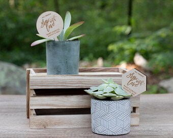 All Things Grow With Love Plant Tags | Baby Shower Favors | Baby Sprinkle Favors | Mini Succulent Favors | Baby In Bloom | Plant Favors