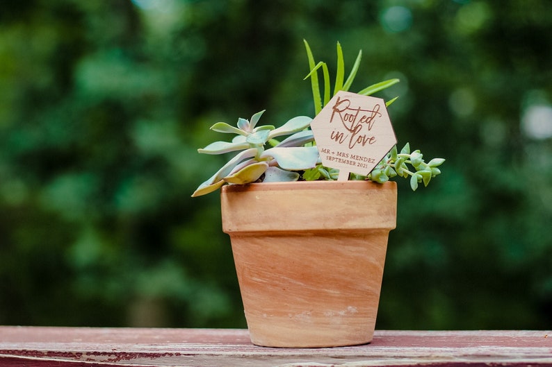 May include: A small terracotta pot with a variety of succulents. A wooden sign with the text "Rooted in Love" and the date "SEPTEMBER 2021" is stuck in the soil.