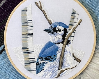 Blue Jay Embroidery Kit, Complete Kit, Detailed Instructions, DMC Floss, DIY