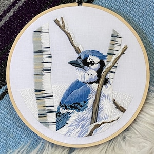 Blue Jay Embroidery Kit, Complete Kit, Detailed Instructions, DMC Floss, DIY