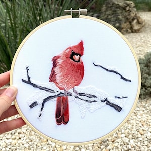 Cardinal Stickpackung, Komplettes Set, Ausführliche Anleitung, DMC Stickgarn, DIY