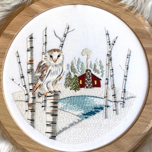Owl Embroidery Kit, Complete Kit, Detailed Instruction Booklet, DMC Floss, DIY