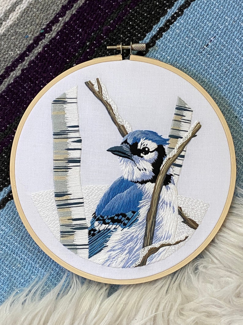 Blue Jay Stickset, Komplettset, detaillierte Anleitung, DMC Floss, DIY Bild 1