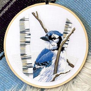 Bluehäy-Stickpackung, Komplettes Set, Detaillierte Anleitung, DMC Stickgarn, DIY