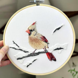 Kit de bordado "Cardenal", proyecto de bordado a mano, bordado con patrón dibujado en tela, kit completo con bastidor.