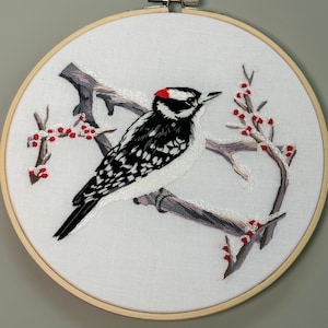 Woodpecker Embroidery Kit, Complete Kit, Detailed Instructions, DMC Floss, DIY