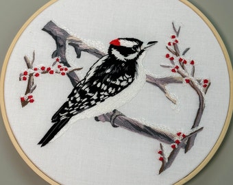 Woodpecker Embroidery Kit, Complete Kit, Detailed Instructions, DMC Floss, DIY