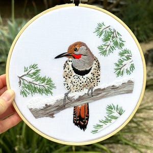 Northern (Snowy) Flicker Embroidery Kit, Complete Kit, Detailed Instructions