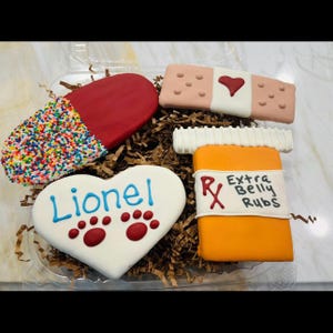 Personalized Custom Get well Soon - Feel Better Dog Treat Gift Box Gourmet Dog Cookies - Dog Gifts