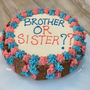 Unique Gender Reveal Dog Cake, Dog Treats, Doggy Cake Gender Reveal, Dog Lover Gifts Pink or Blue