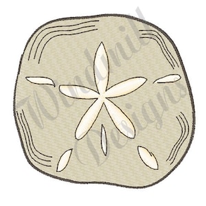 May include: A beige sand dollar with a white five-pointed star in the center and smaller white shapes around the star.