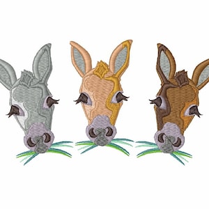 May include: Three donkey heads with different colored fur, gray, brown, and orange, are looking down and eating green grass.