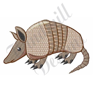 May include: A brown and tan cartoon armadillo with a black nose and eyes. The armadillo has a patterned shell and a long tail.