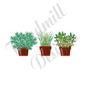 May include: Three potted plants, one with green leaves, one with green and yellow leaves, and one with long green blades of grass. The pots are all brown.