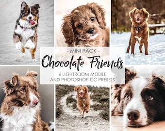 PREAJUSTES DE LIGHTROOM DOG, Ajustes preestablecidos de Lightroom para mascotas, Ajustes preestablecidos de animales, Ajustes preestablecidos de perros, Ajustes preestablecidos móviles de escritorio para cachorros, Filtros de ajustes preestablecidos de Blogger de Instagram