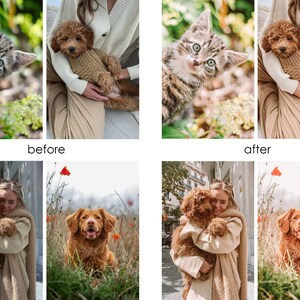 Op de afbeelding: Een collage van vier afbeeldingen met een vrouw die een bruine puppy, een bruine hond en een kat vasthoudt. De afbeeldingen tonen de voor- en na-effecten van een fotobewerkingfilter.