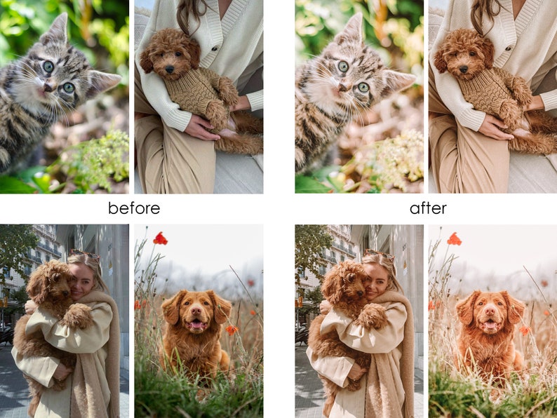 Op de afbeelding: Een collage van vier afbeeldingen met een vrouw die een bruine puppy, een bruine hond en een kat vasthoudt. De afbeeldingen tonen de voor- en na-effecten van een fotobewerkingfilter.