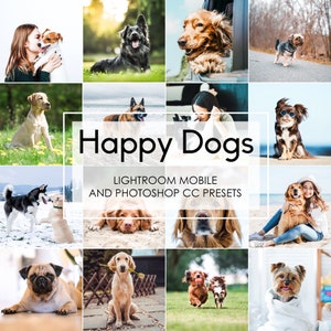 DOG LIGHTROOM PRESETS, Instagram Animal Cat Presets, Happy Dog Photo Presets, Pet Portrait Mobile Presets, Lightroom Desktop Blogger Presets