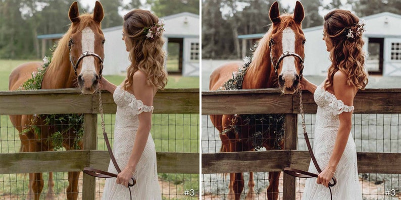 Lightroom Presets Rustic Wedding Presets Warm Brown Presets Boho Bride Portrait Presets Wedding Film Photography Filters Couple Photo Edit