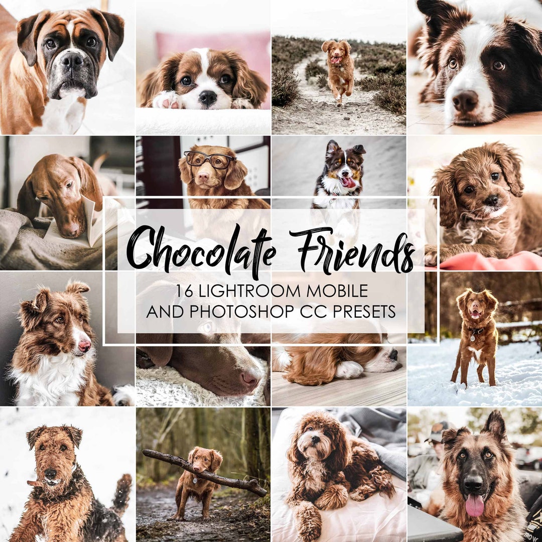 DOG LIGHTROOM PRESETS, Pets Presets, Cats Animals Presets, Dog ...