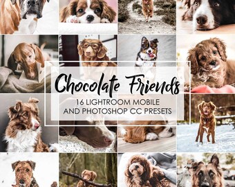 PREAJUSTES DE LIGHTROOM PARA PERROS, Ajustes preestablecidos de mascotas, Ajustes preestablecidos de animales de gatos, Filtros preestablecidos de Instagram para perros, Edición de fotos de cachorros, Ajustes preestablecidos de escritorio móviles brillantes