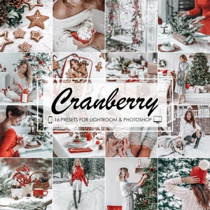 16 Lightroom Presets Christmas Presets Winter Holiday Presets Bright Clean Moody Presets Home Mobile Presets Instagram Blogger Photo Editing