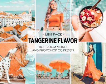 Lightroom Mobile Presets, Lightroom Presets Desktop, Instagram Presets, Blogger Presets, Travel Presets, Summer Presets, Lifestyle Presets