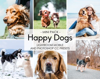 HOND HUISDIEREN VOORINSTELLINGEN, Hond Blogger Instagram Voorinstellingen, Huisdier Portret Voorinstellingen, Puppy Lightroom Mobiele Voorinstellingen, Desktop Voorinstellingen, Dierenfoto Voorinstellingen