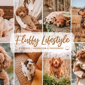 Op de afbeelding: Een verzameling van 8 Lightroom- en Photoshop-presets voor het bewerken van foto's van honden. De presets zijn ontworpen om foto's een warme, donzige en lifestyle-esthetiek te geven. De presets zijn perfect voor fotografen die mooie en natuurlijk ogende foto's van hun harige vrienden willen maken.