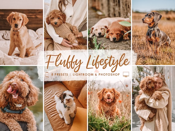 Mobile Lightroom Presets Pet Lovers, Dog Cat Animal Presets, Outdoor Pets Instagram Photo Filters, Bright Warm Home Blogger Desktop Presets