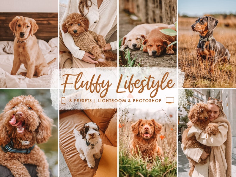 Op de afbeelding: Een verzameling van 8 Lightroom- en Photoshop-presets voor het bewerken van foto's van honden. De presets zijn ontworpen om foto's een warme, donzige en lifestyle-esthetiek te geven. De presets zijn perfect voor fotografen die mooie en natuurlijk ogende foto's van hun harige vrienden willen maken.