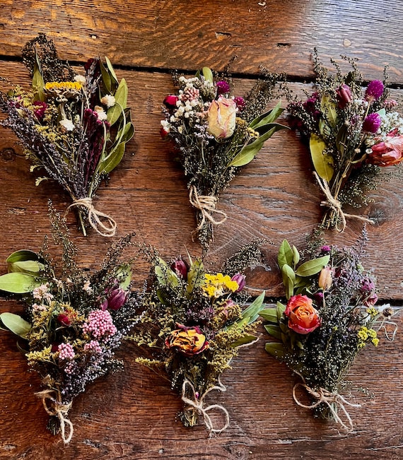 Dried Petite Daisy Bundle