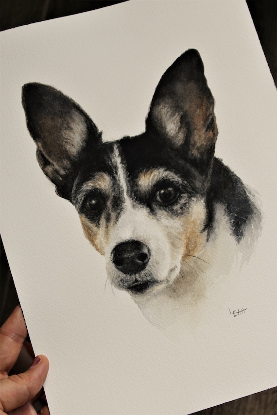 watercolor animal portraits