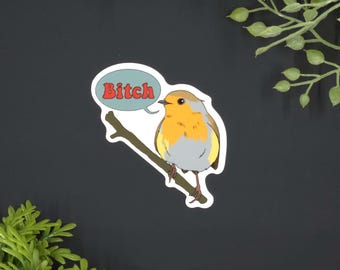 Funny Robin Bird Sticker, Sassy Bird Vinyl Decal, Rude Bird Humor Gift, Sarcastic Speech Bubble Sticker for Laptop, Bitch Bird Art