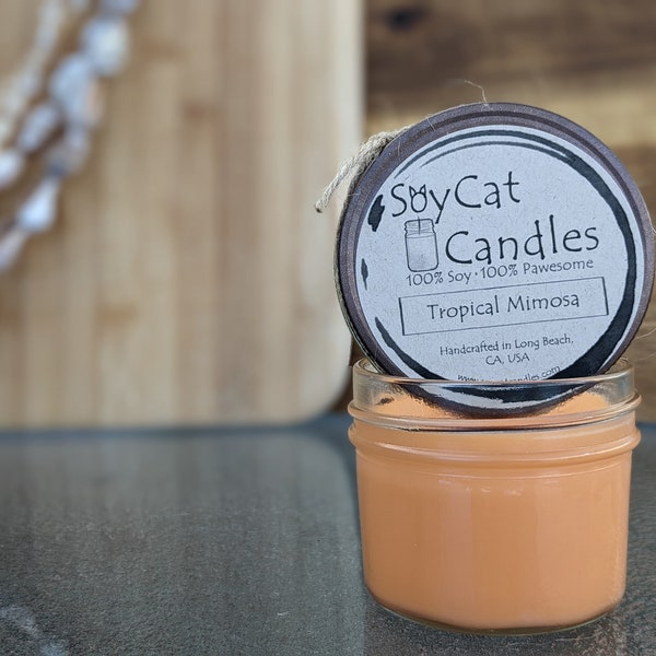 SoyCat Candles 4 oz Tropical Mimosa (Sparkling citrus & mango scented/100% Soy Wax/Homemade/Rustic Style)