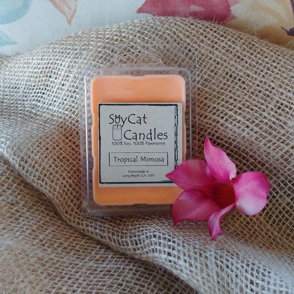 SoyCat Candles Wax Melt 2.5 oz Tropical Mimosa (Sparkling citrus & mango scented/100% Soy Wax/Homemade/Rustic Style)